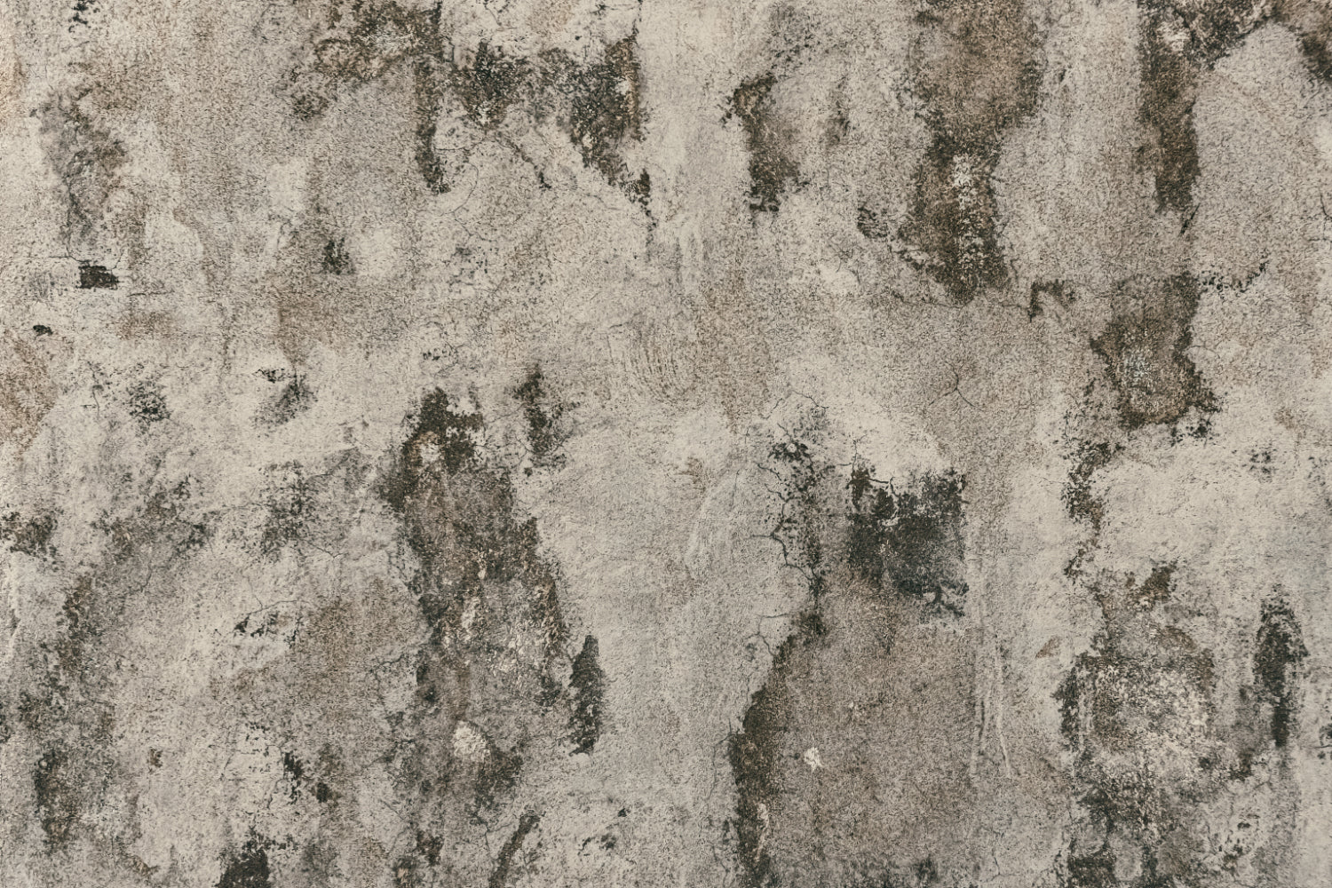 Küchenrückwand Betonoptik