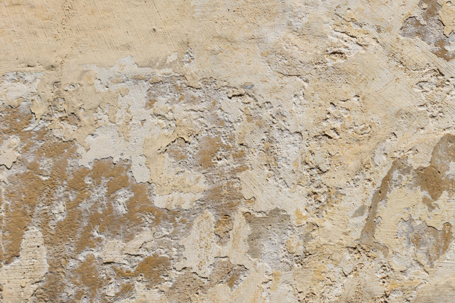 Küchenrückwand Betonoptik