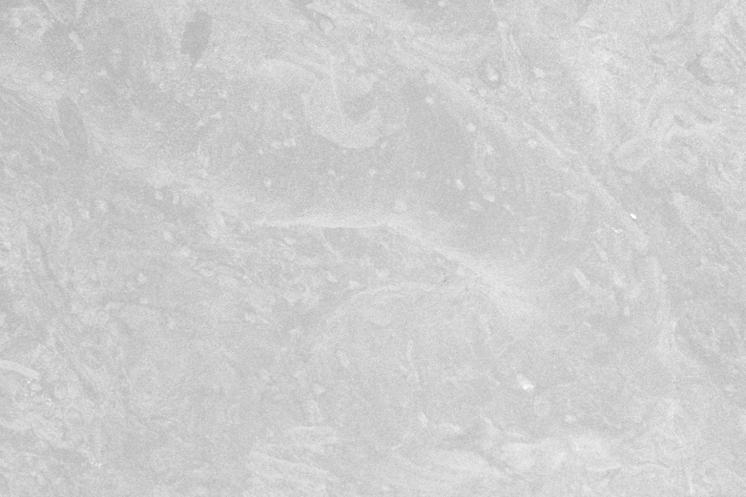 Küchenrückwand Betonoptik