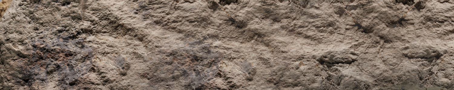 Küchenrückwand Steinoptik