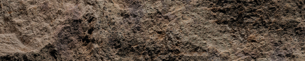 Küchenrückwand Steinoptik