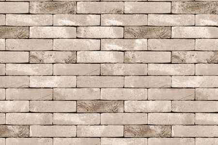 Küchenrückwand Steinoptik