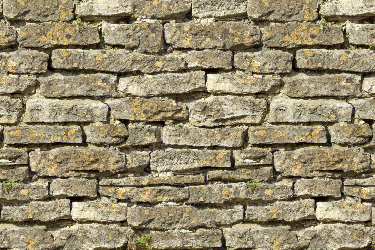 Küchenrückwand Steinoptik