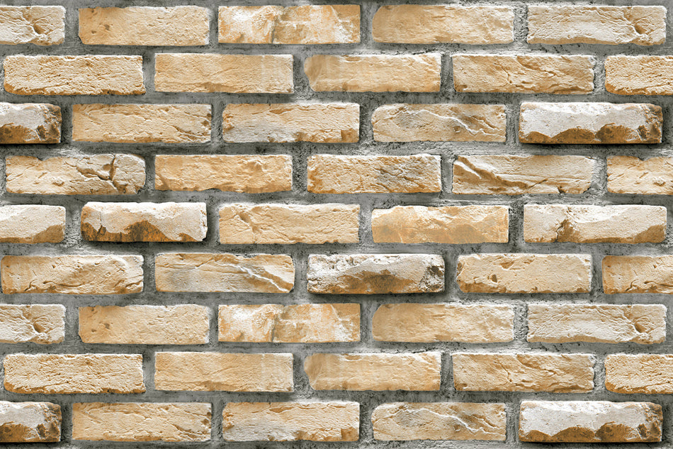 Küchenrückwand Steinoptik