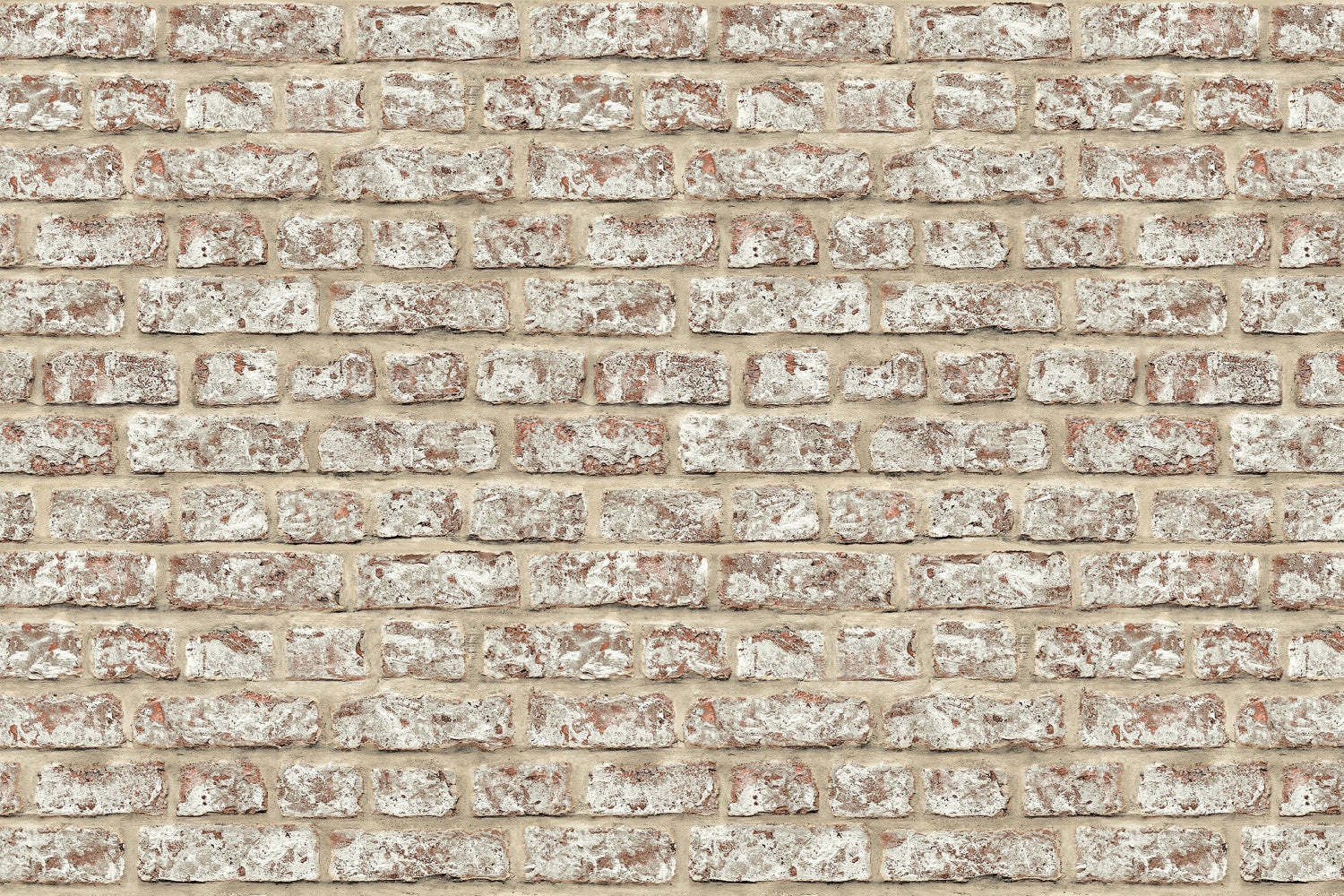 Küchenrückwand Steinoptik