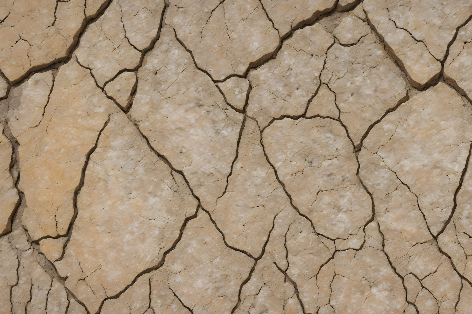 Küchenrückwand Steinoptik