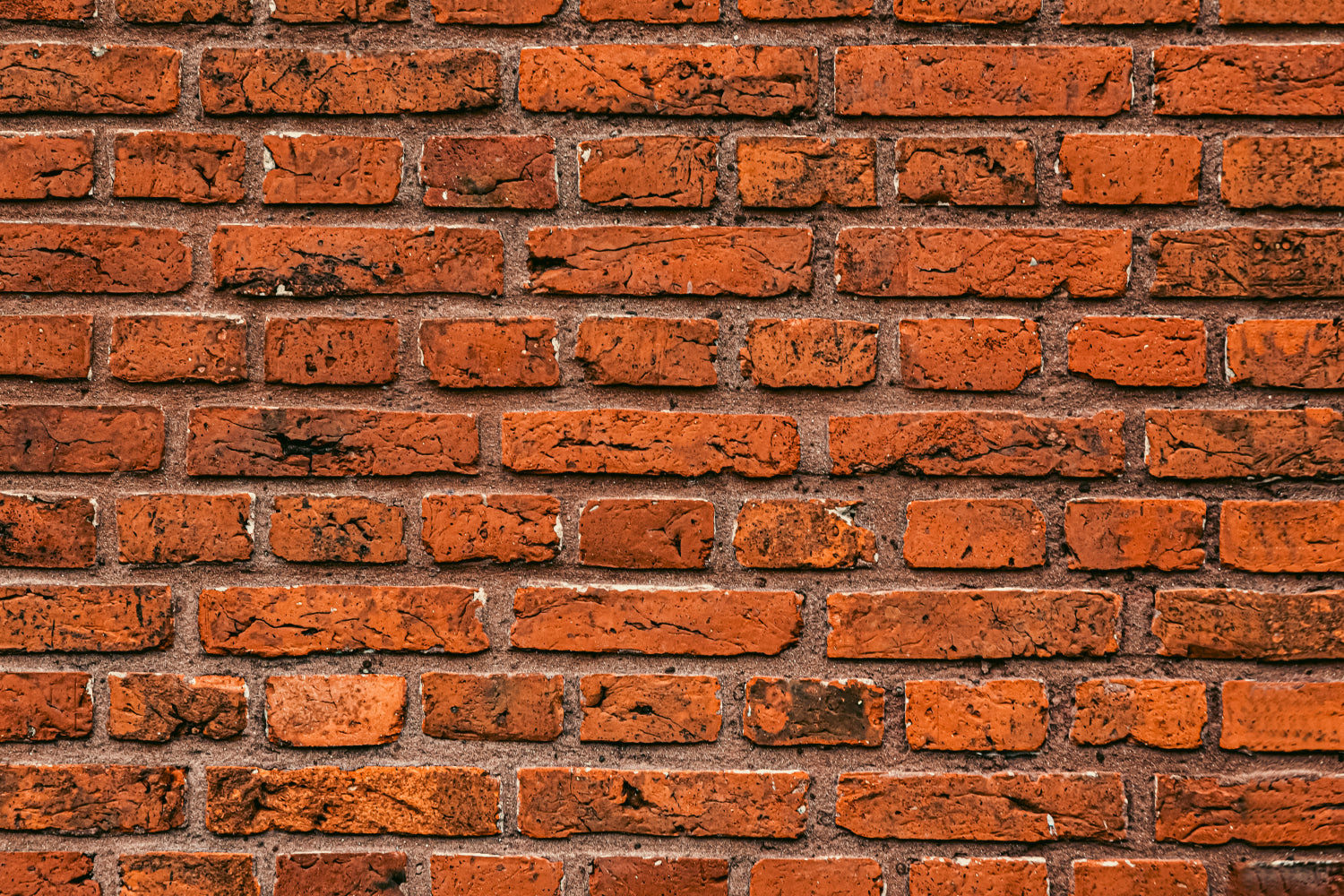 Küchenrückwand Steinoptik