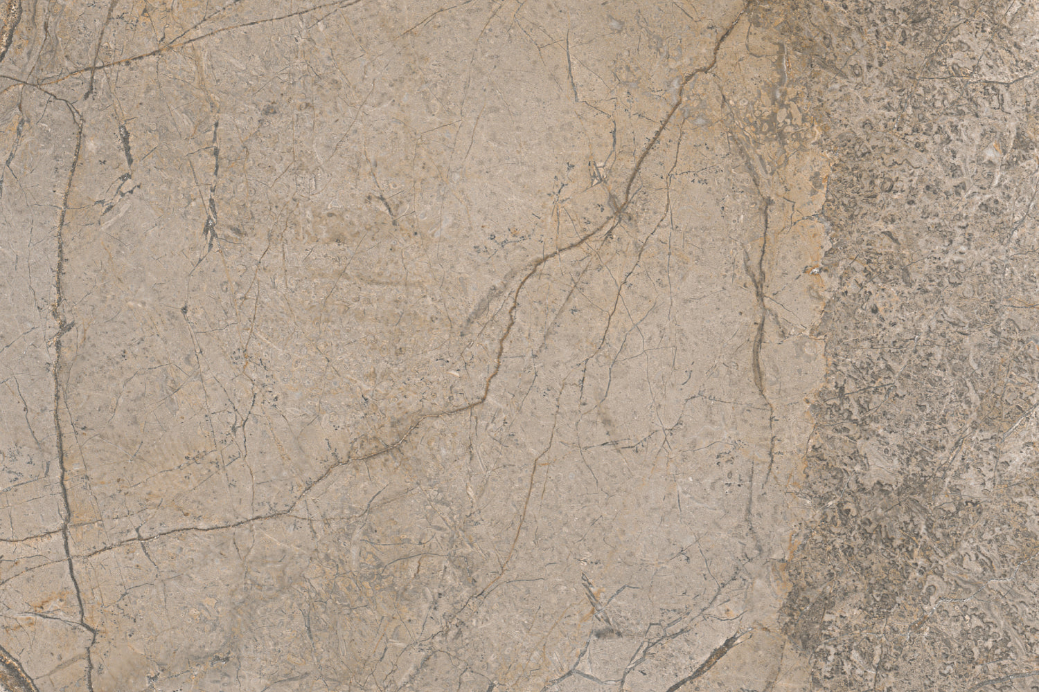 Küchenrückwand Steinoptik