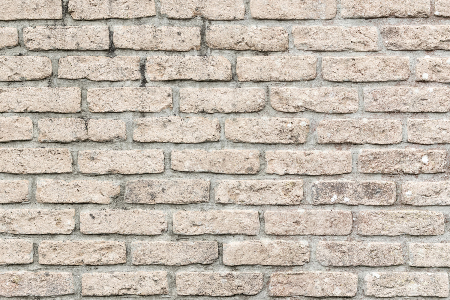 Küchenrückwand Steinoptik