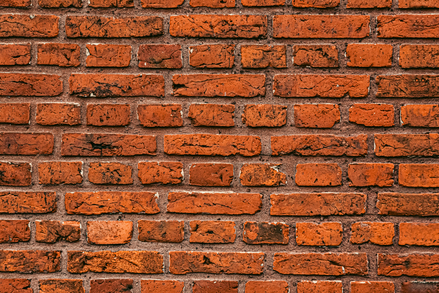 Küchenrückwand Steinoptik