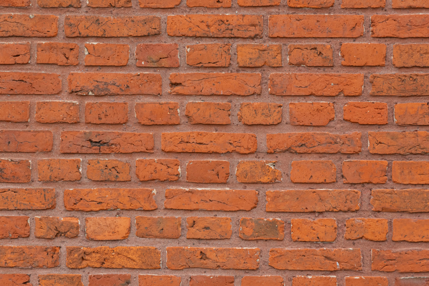 Küchenrückwand Steinoptik