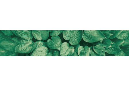 Küchenrückwand Grüne Blätter