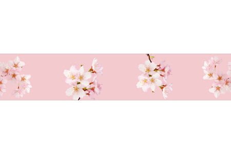 Küchenrückwand Kirschblüten Rosa