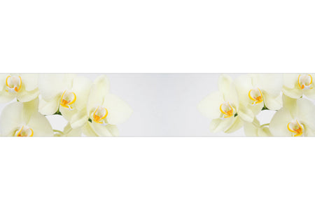 Küchenrückwand Weiße Orchideen