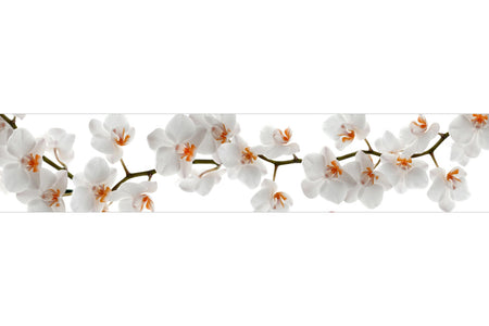 Küchenrückwand Weiße Orchideenblüten