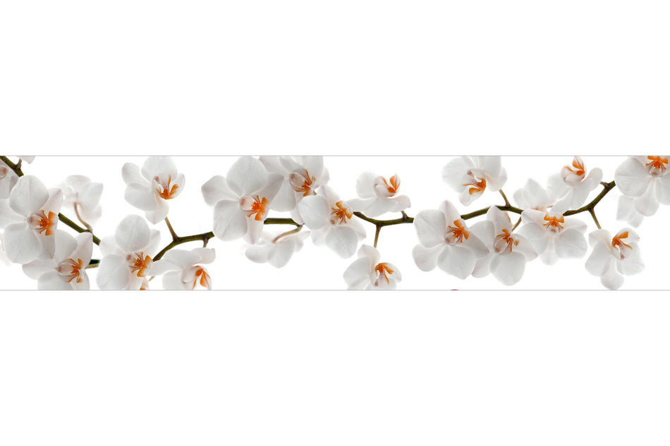 Küchenrückwand Weiße Orchideenblüten