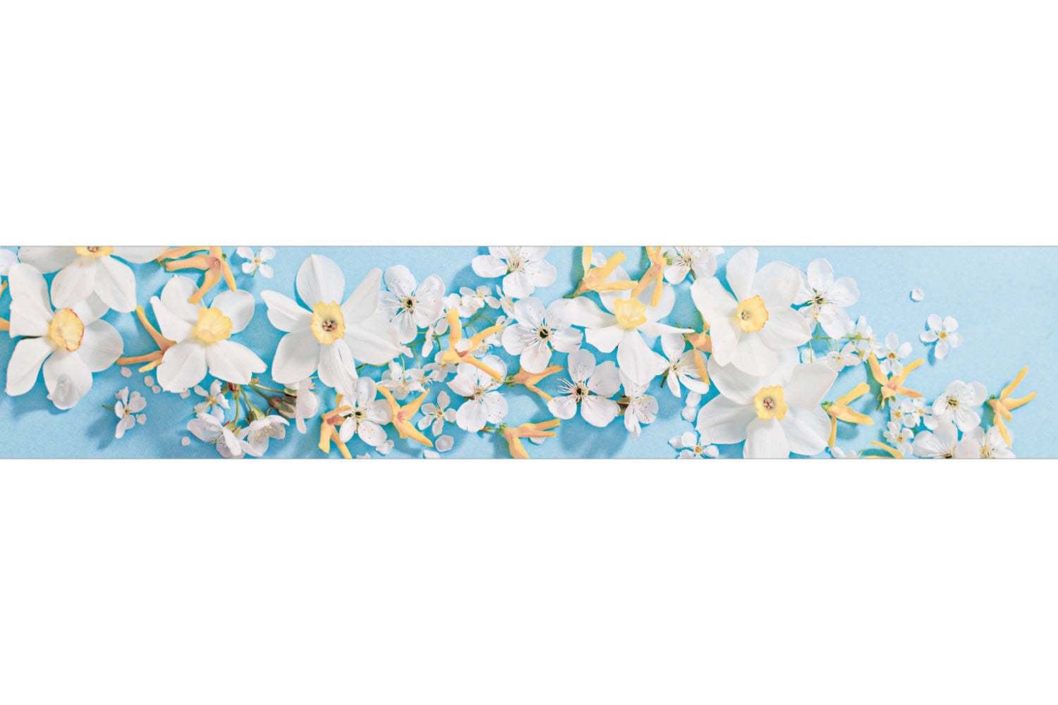 Küchenrückwand Narzissen & Blüten