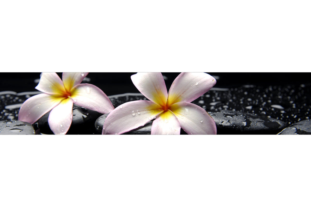 Küchenrückwand Spa Blüten Schwarz