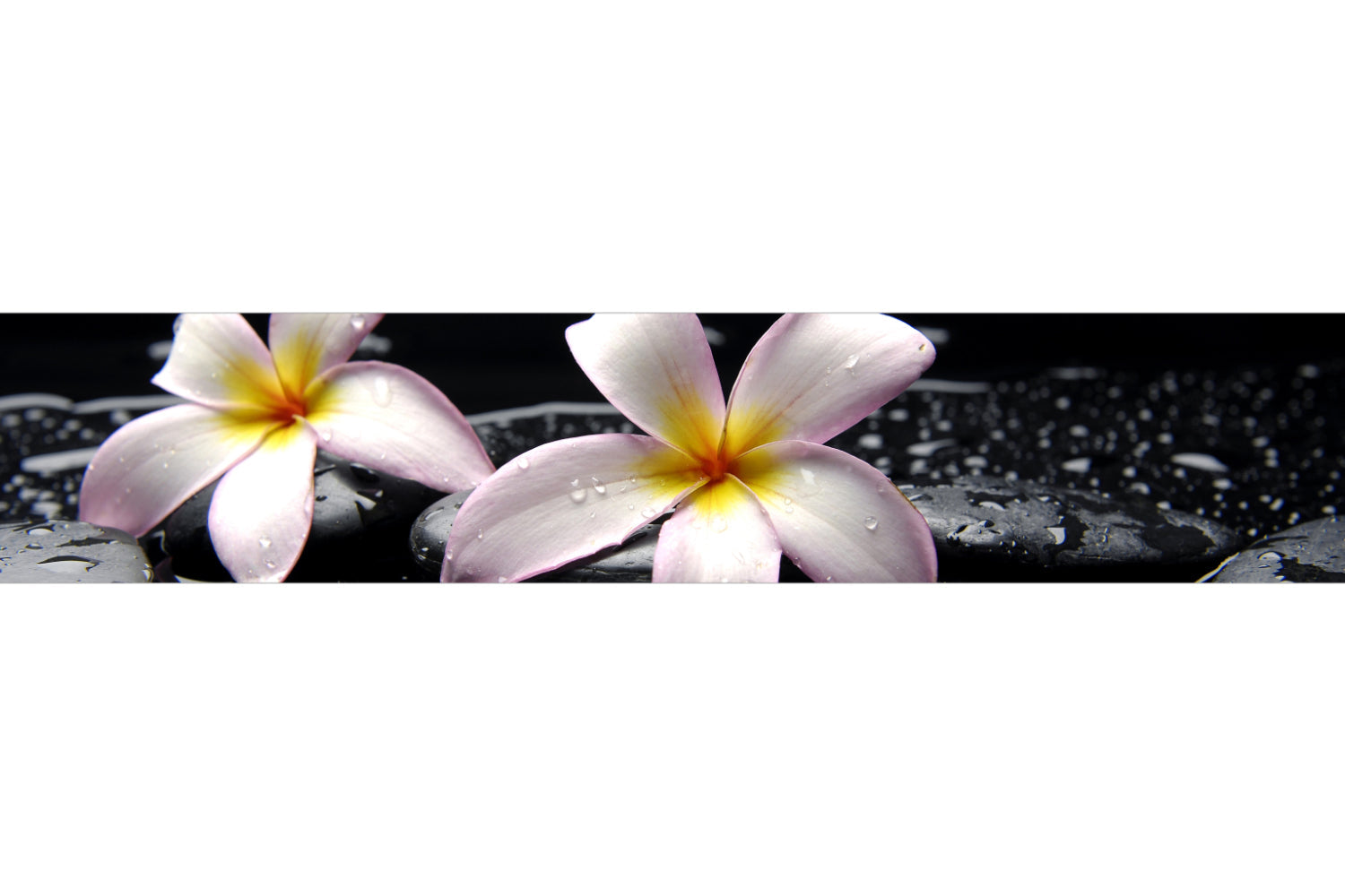 Küchenrückwand Spa Blüten Schwarz