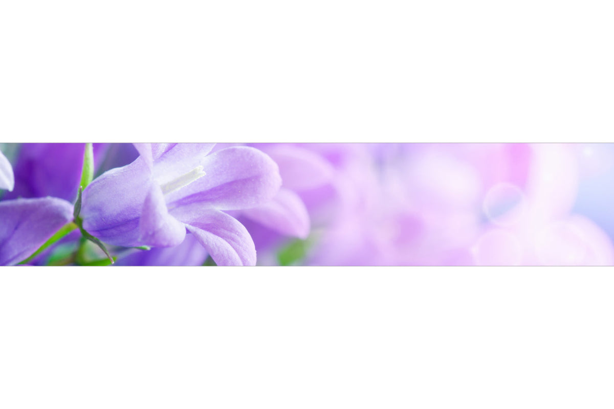 Küchenrückwand Frühlingsblüten Lila