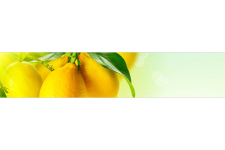 Küchenrückwand Frische Zitrone