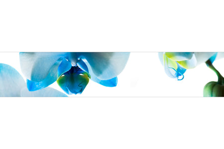 Küchenrückwand Orchideenlicht