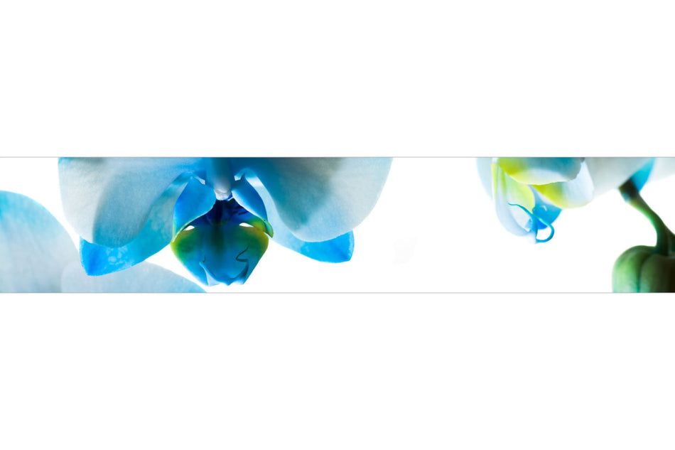 Küchenrückwand Orchideenlicht