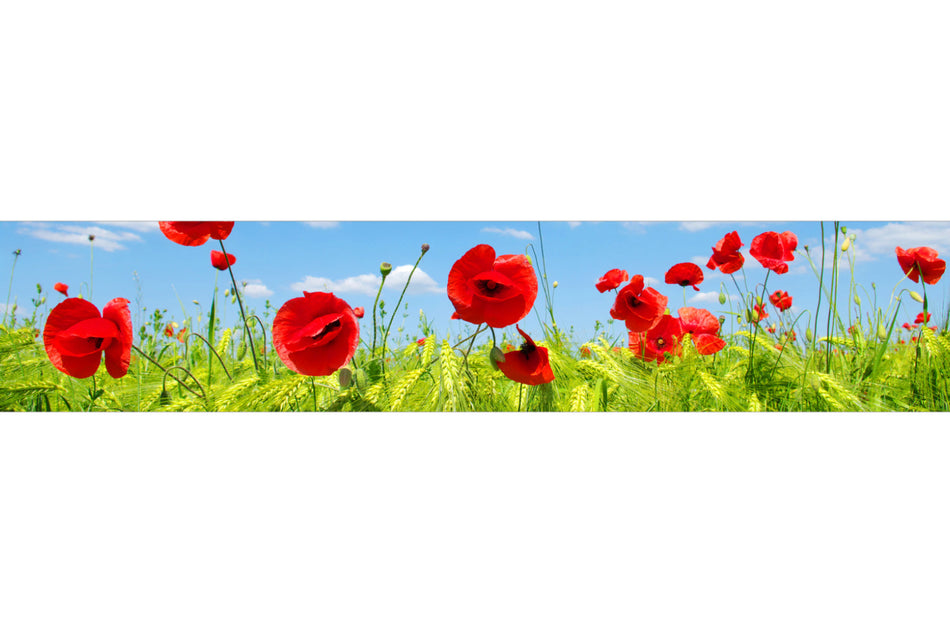 Küchenrückwand Mohnblumenwiese