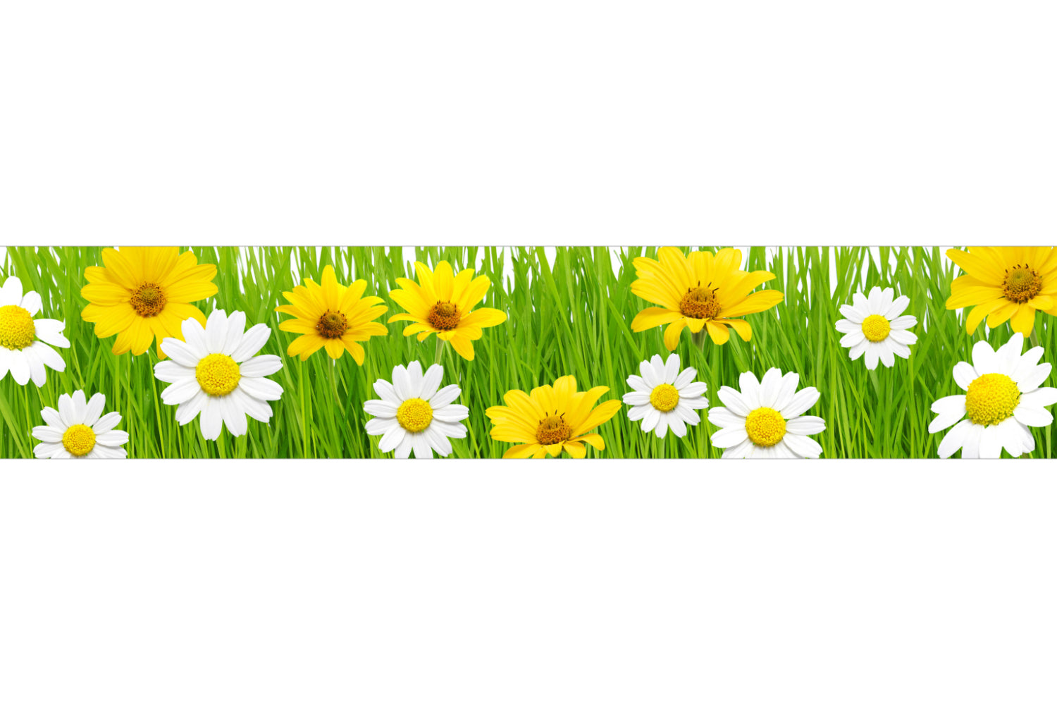 Küchenrückwand mit Blumenmotiv