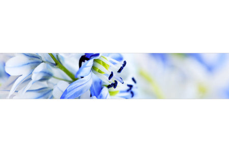 Küchenrückwand mit Blütenmotiv