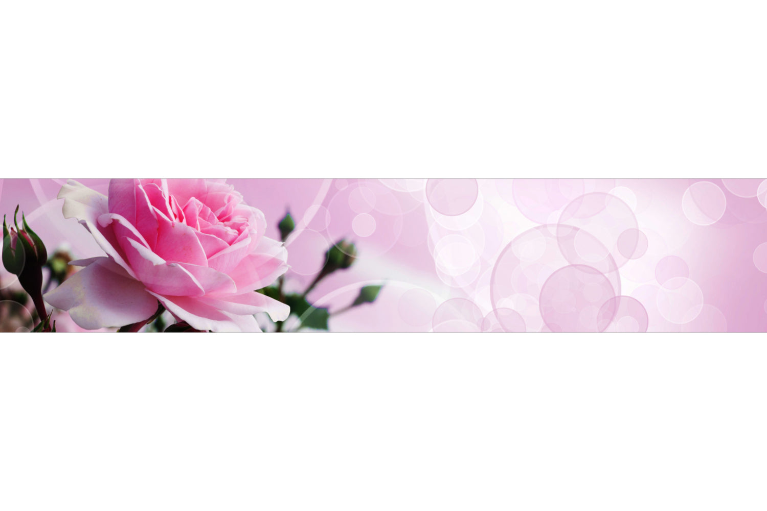 Küchenrückwand mit Rosenmotiv