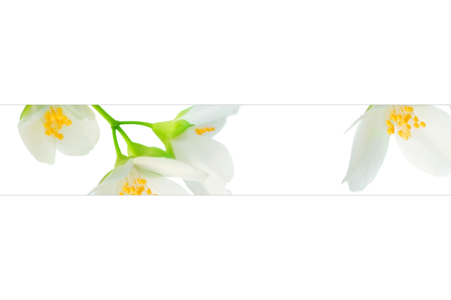 Küchenrückwand Weiße Blüten