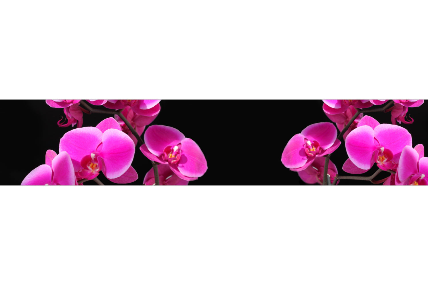 Küchenrückwand mit Orchideenblüten