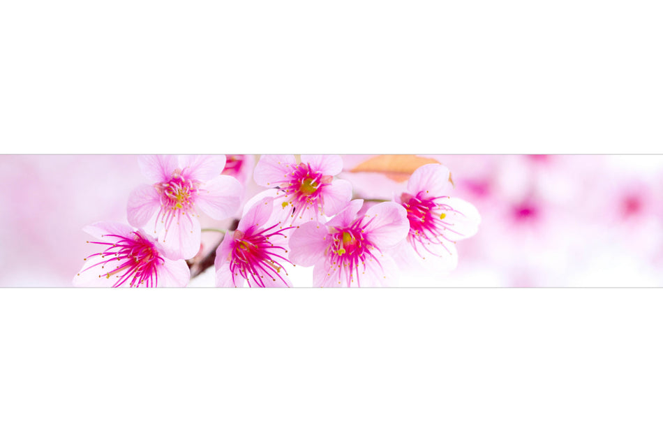 Küchenrückwand mit Kirschblüten