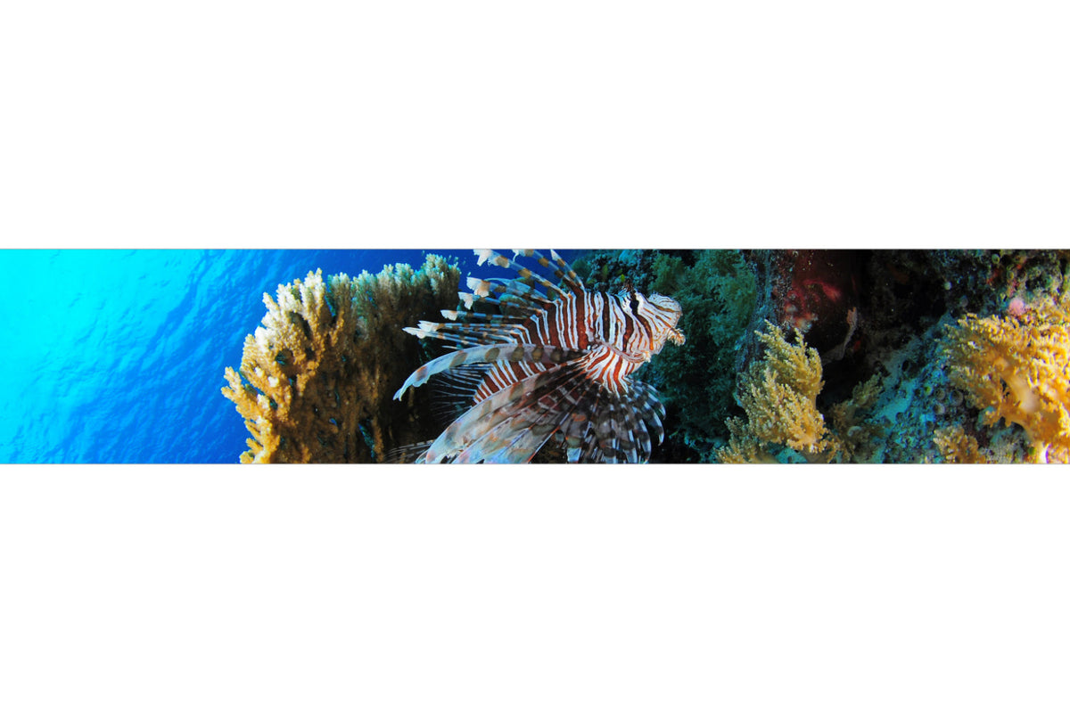 Küchenrückwand Unterwasserwelt