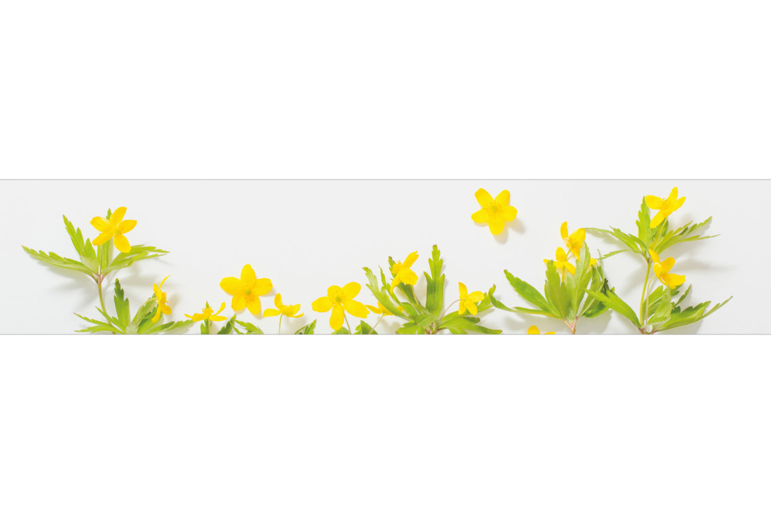 Küchenrückwand Frühlingsblumen Gelb