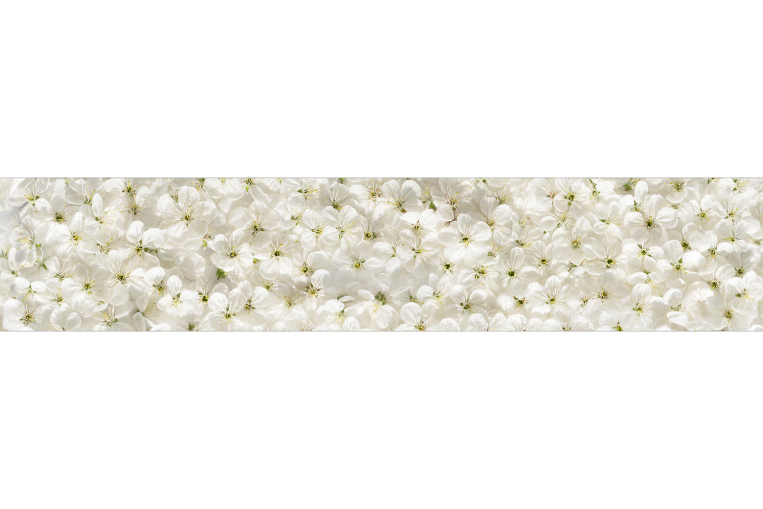 Küchenrückwand Blütenmeer Weiß