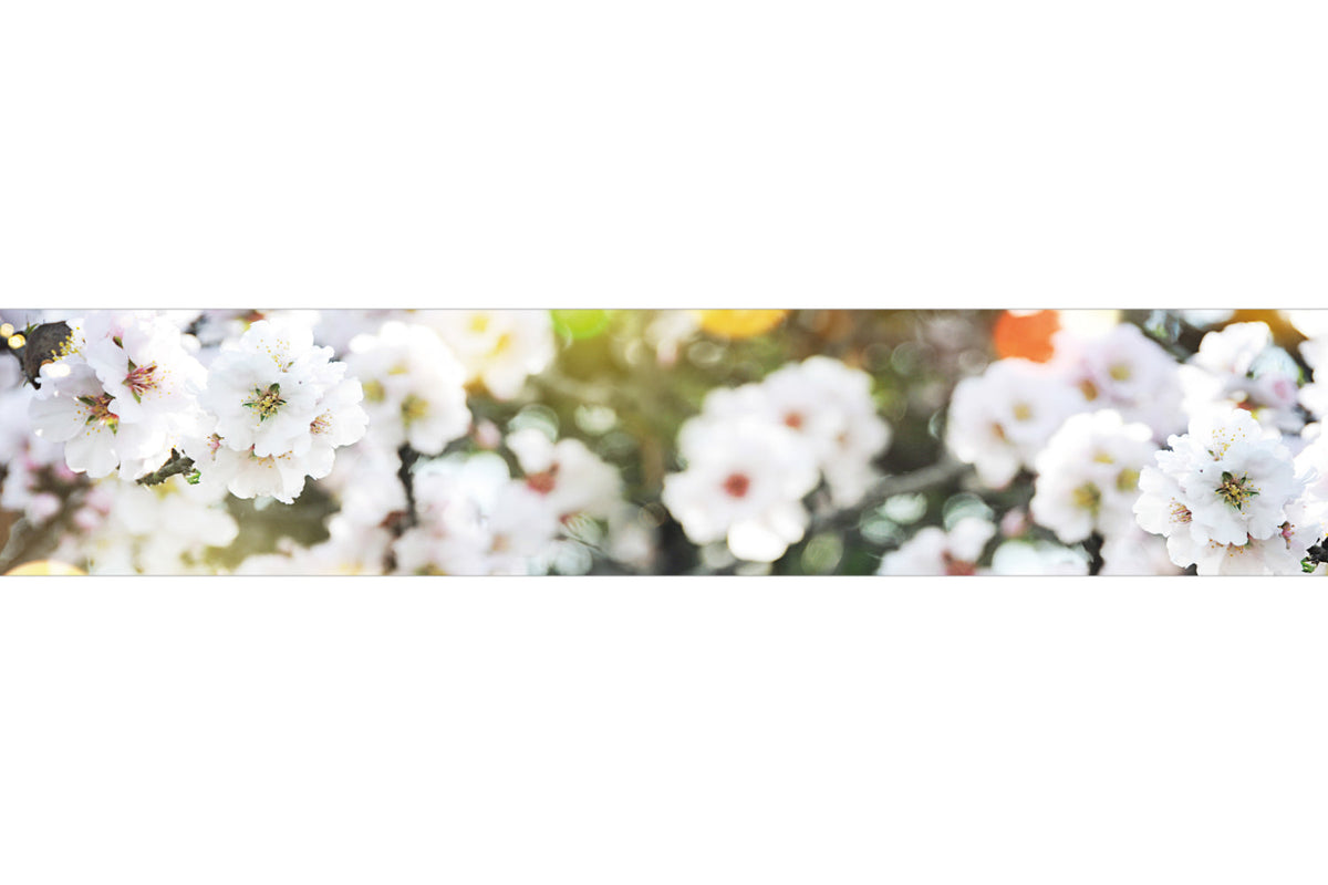 Küchenrückwand Weiße Blüten Frühling