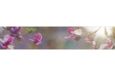 Küchenrückwand Magnolien