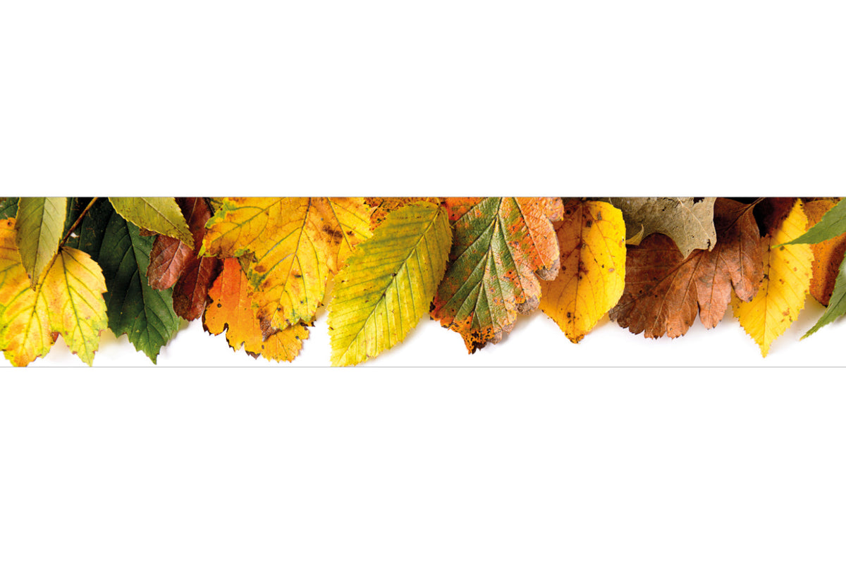 Küchenrückwand Bunte Blätter Herbst
