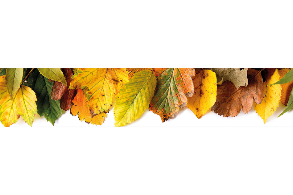 Küchenrückwand Bunte Blätter Herbst