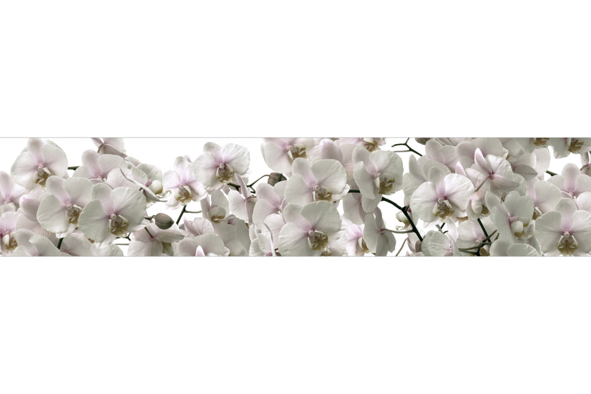 Küchenrückwand Orchideen Blüten