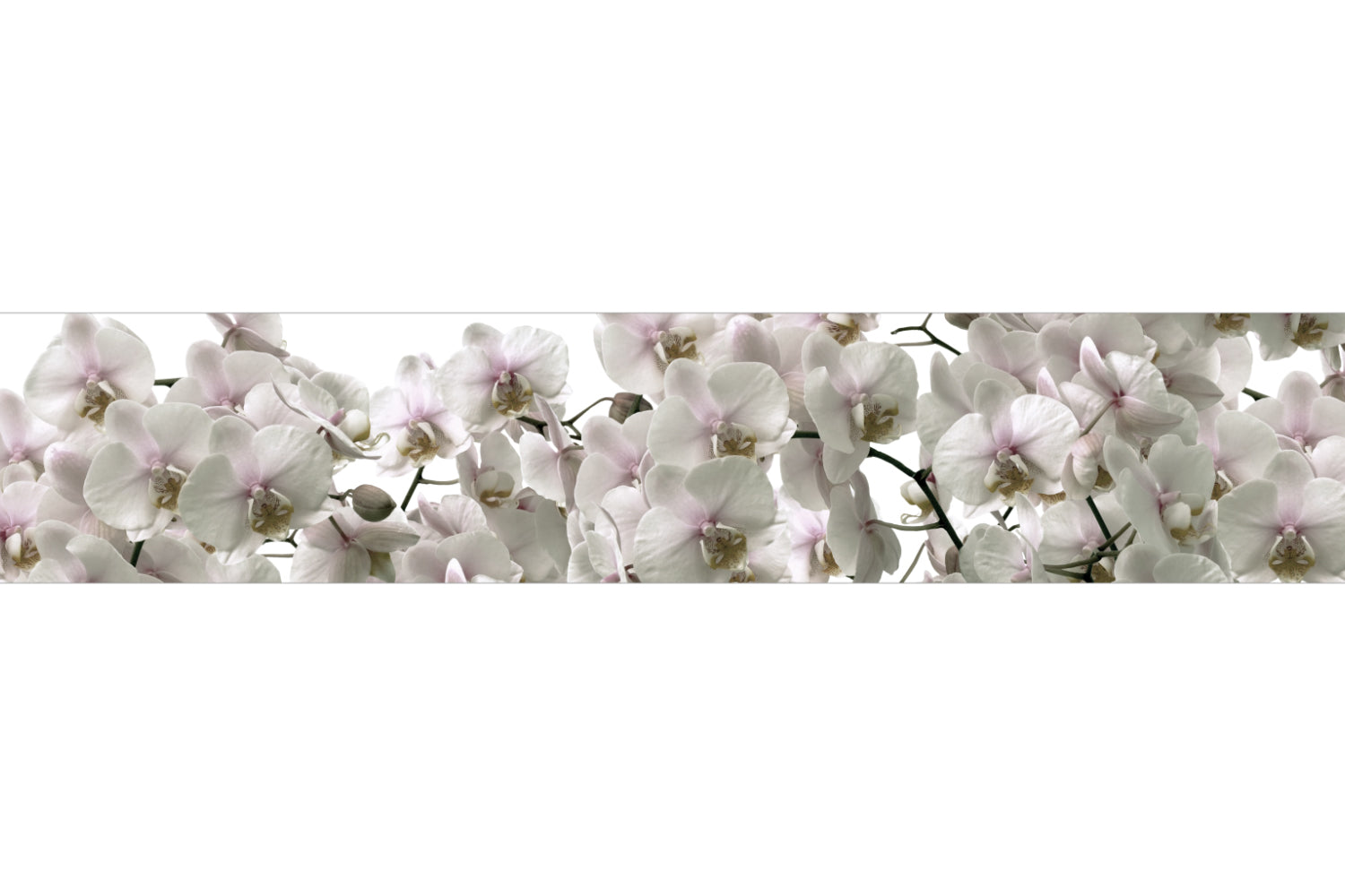 Küchenrückwand Orchideen Blüten