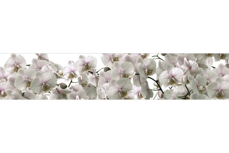 Küchenrückwand Orchideen Blüten