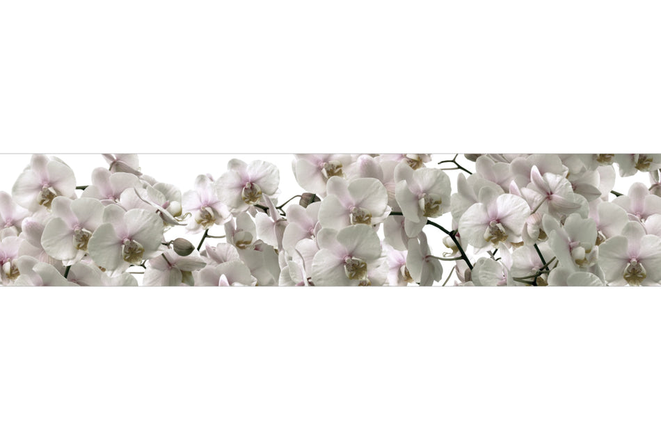 Küchenrückwand Orchideen Blüten
