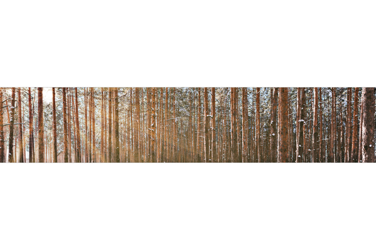 Küchenrückwand Waldmotiv