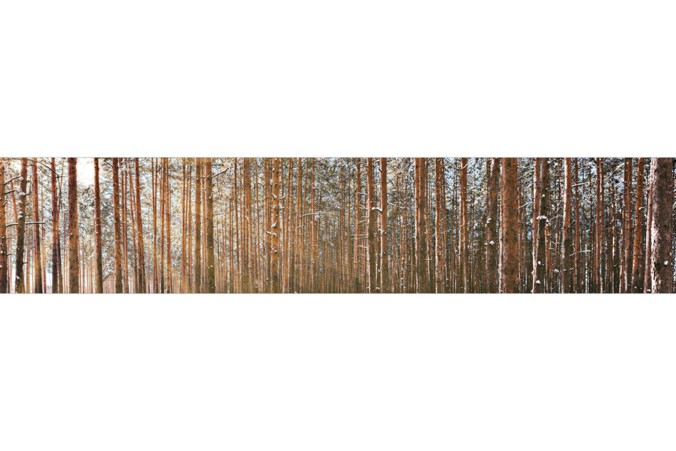 Küchenrückwand Waldmotiv