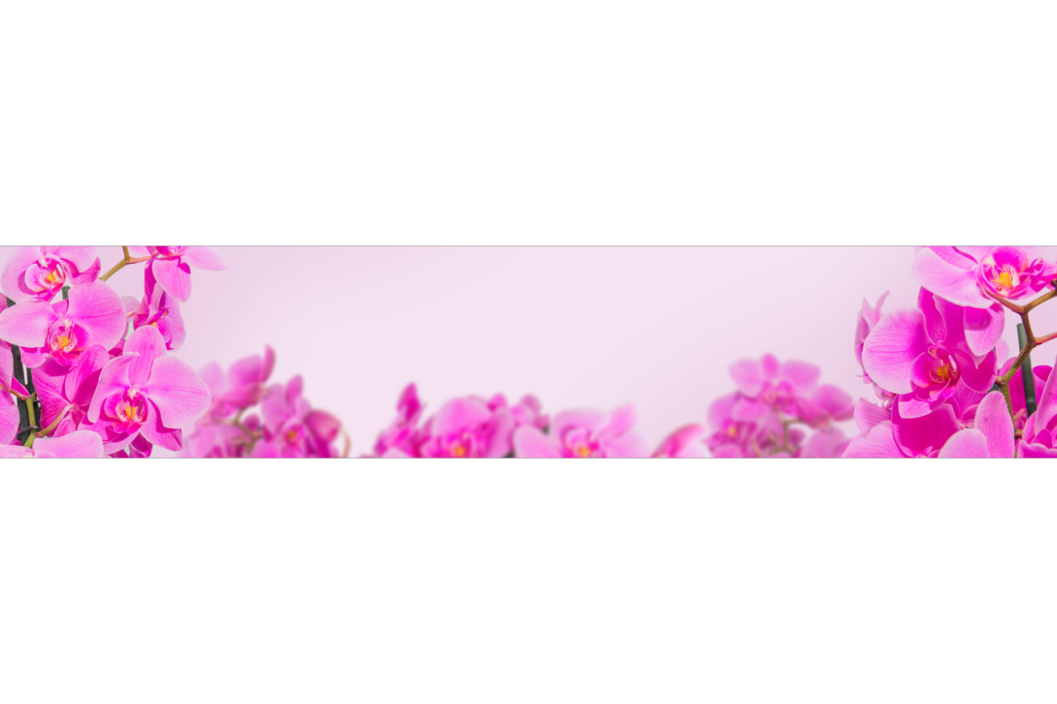 Küchenrückwand Orchideen Stilvoll