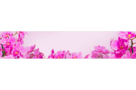 Küchenrückwand Orchideen Stilvoll