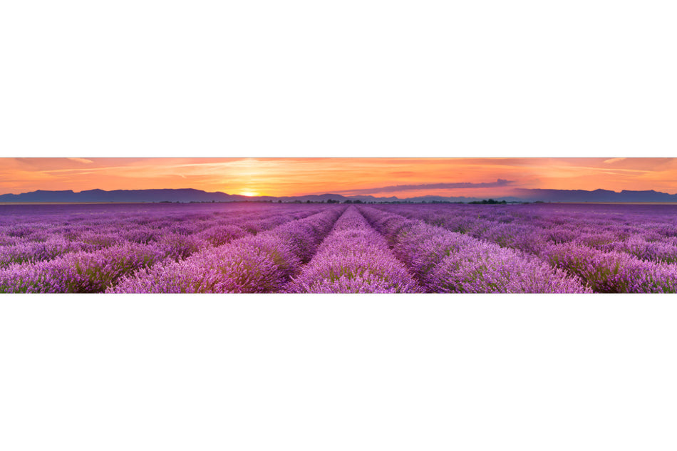 Küchenrückwand Lavendelfeld Provence